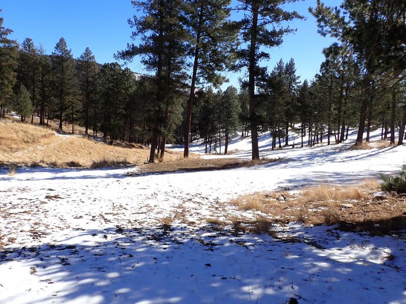 Elk Springs Ranch