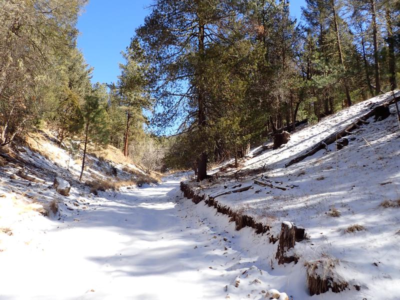 Elk Springs Ranch