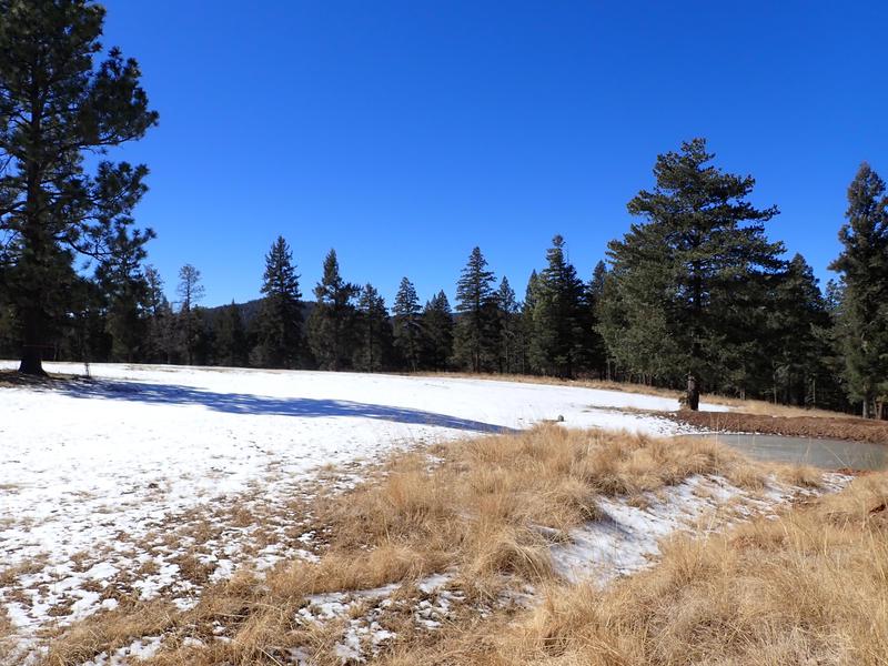 Elk Springs Ranch