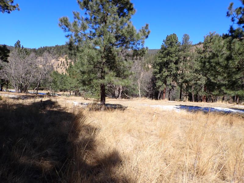 Elk Springs Ranch
