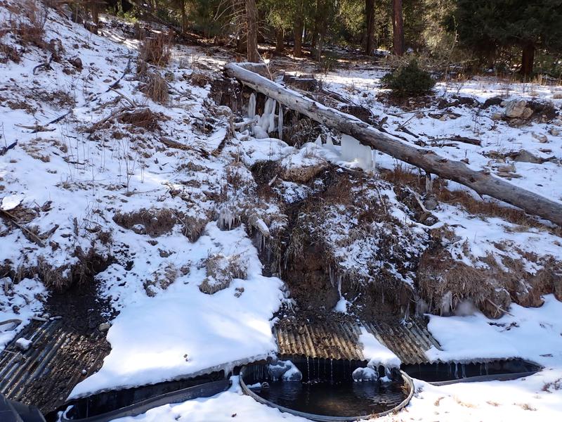 Elk Springs Ranch