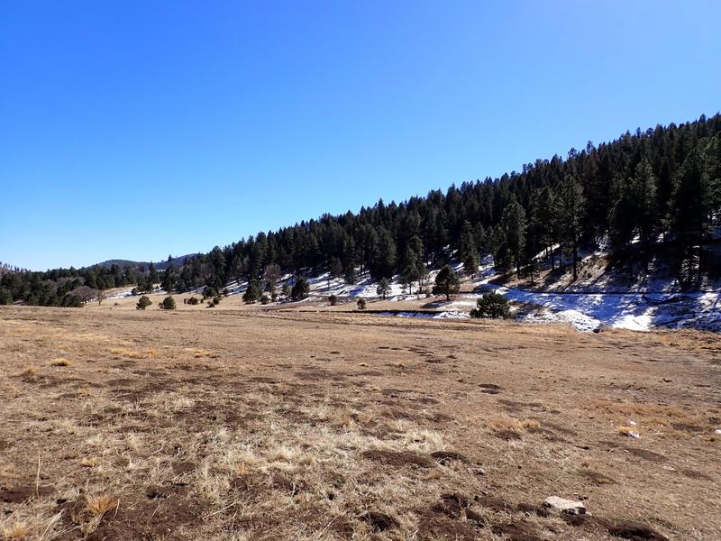 Elk Springs Ranch