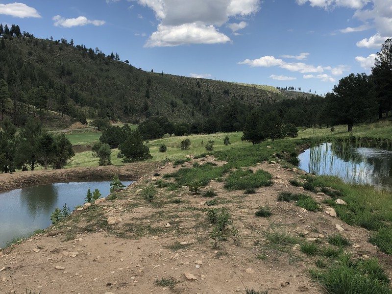Elk Springs Ranch