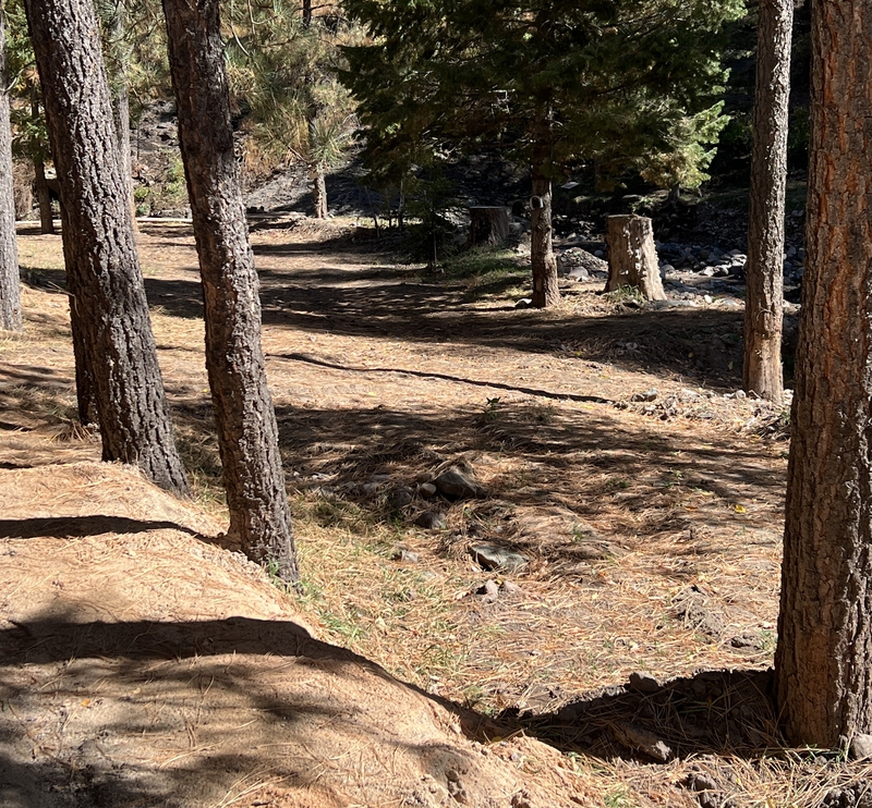 Ski Run Road