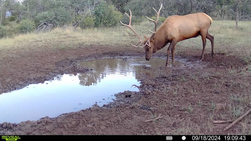 WAPITI RANCH