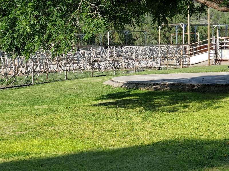 WAPITI RANCH