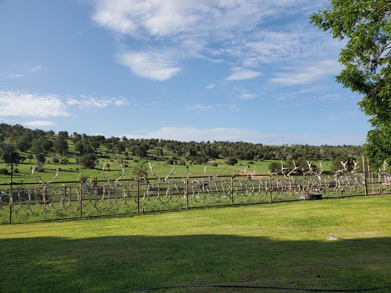 WAPITI RANCH