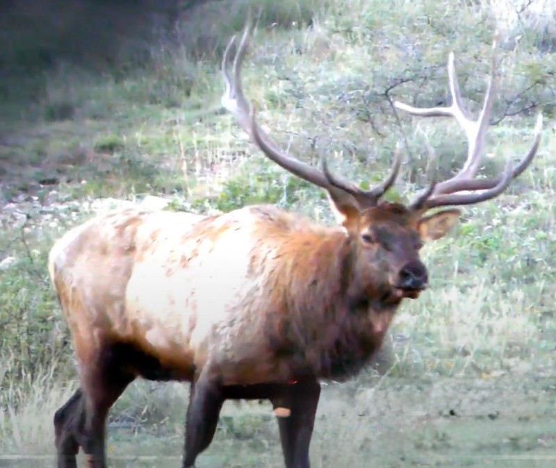 WAPITI RANCH