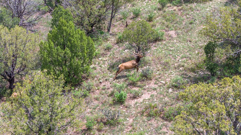 WAPITI RANCH