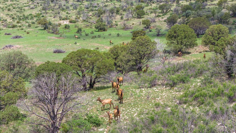 WAPITI RANCH