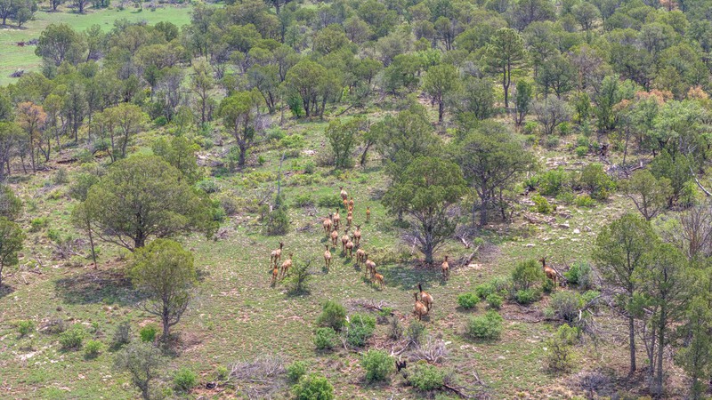 WAPITI RANCH