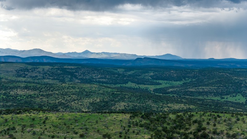 WAPITI RANCH