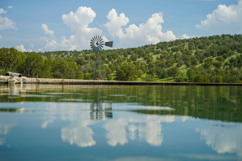 WAPITI RANCH