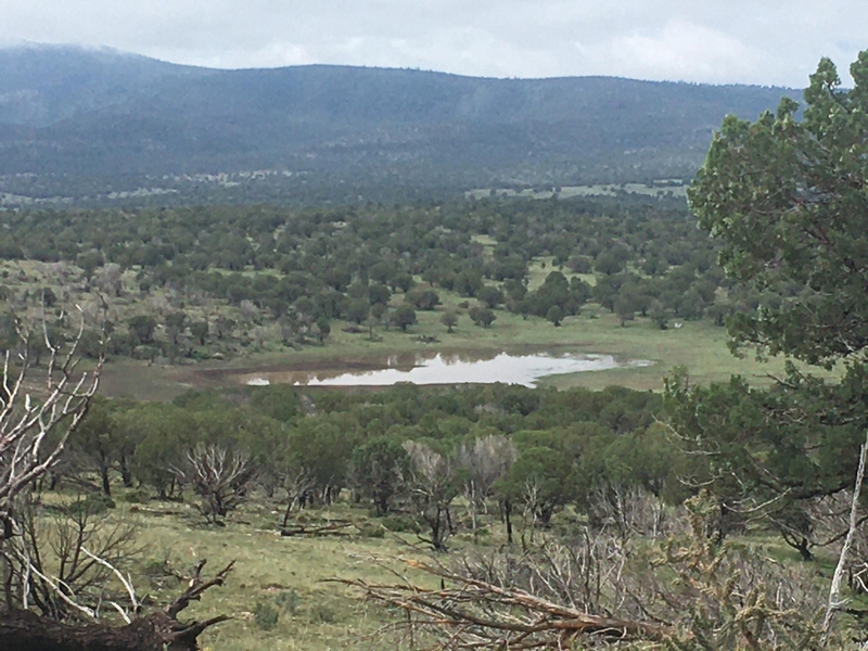 WAPITI RANCH