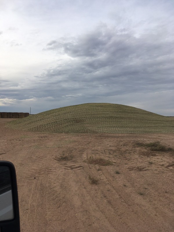 Great Southwest Agro - Ag Ranch Operation