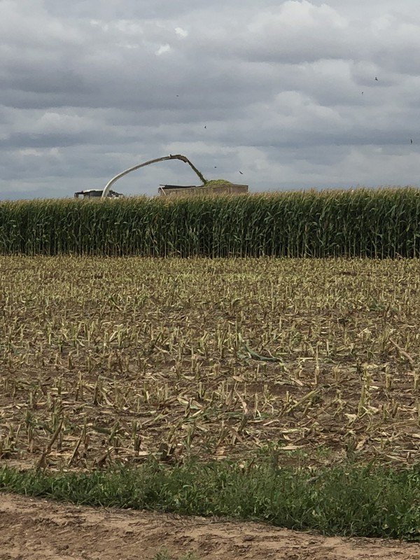 Great Southwest Agro - Ag Ranch Operation