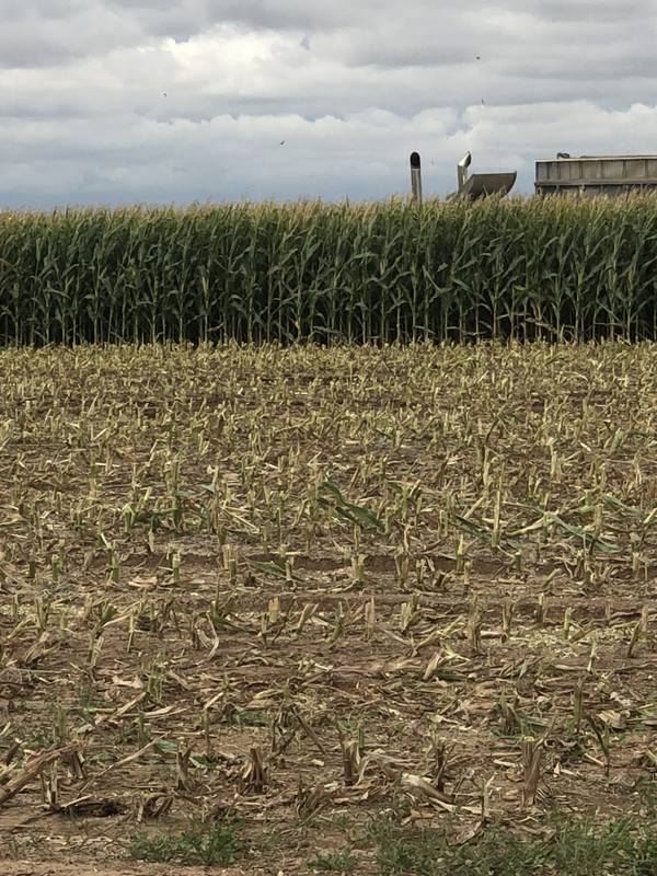 Great Southwest Agro - Ag Ranch Operation