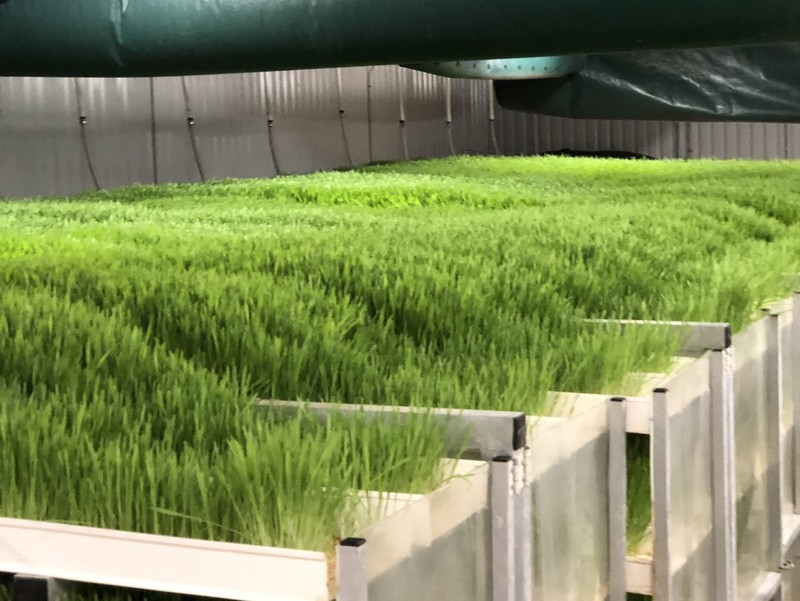 Great Southwest Agro - Ag Ranch Operation