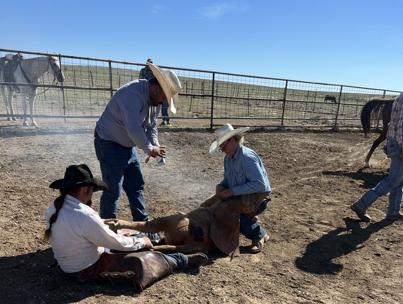 Great Southwest Agro - Ag Ranch Operation
