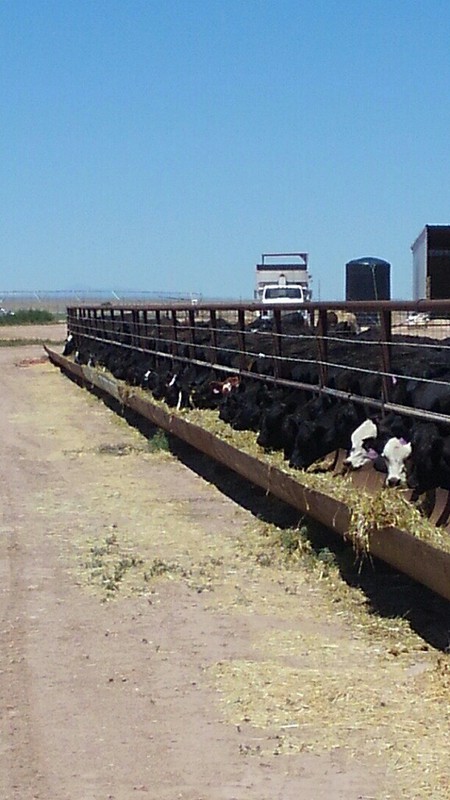 Great Southwest Agro - Ag Ranch Operation