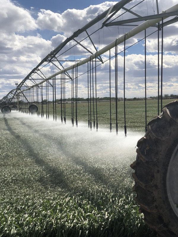 Great Southwest Agro - Ag Ranch Operation