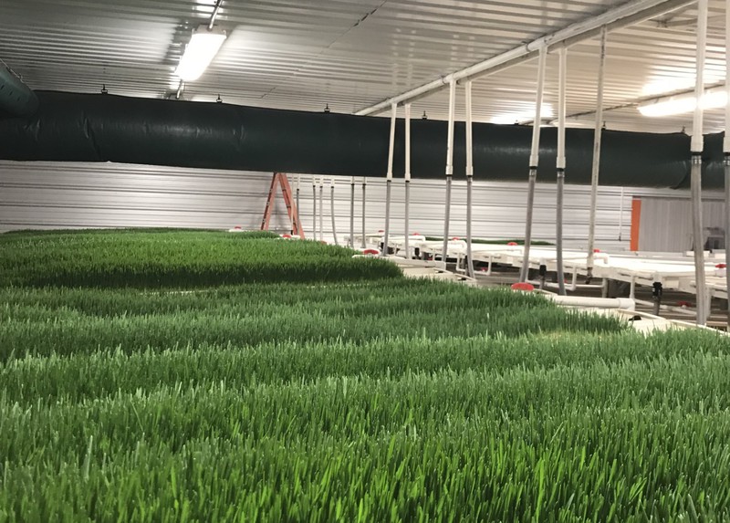 Great Southwest Agro - Ag Ranch Operation