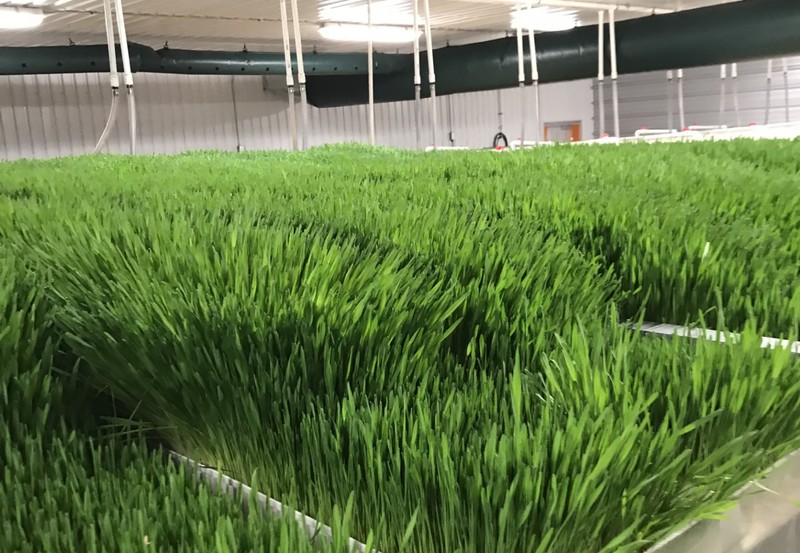 Great Southwest Agro - Ag Ranch Operation
