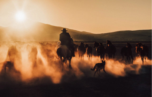 Great Southwest Agro - Ag Ranch Operation