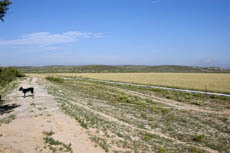 Capitan View Ranch