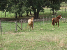 Rock Springs Ranch