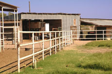 Berrendo Springs Ranch