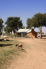 Berrendo Springs Ranch