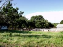 Oak Tree Ranch