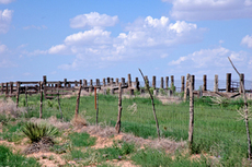 Macho Cerca Ranch