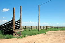 Macho Cerca Ranch