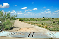 Macho Cerca Ranch