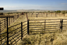 Pinon Springs Ranch