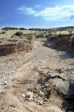 Pinon Springs Ranch