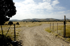 Pinon Springs Ranch
