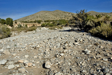 Pinon Springs Ranch
