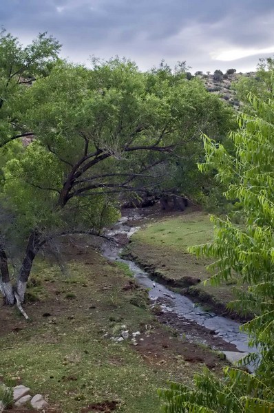 Tierra Blanca Creek Ranch