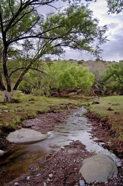 Tierra Blanca Creek Ranch