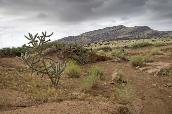 Tierra Blanca Creek Ranch